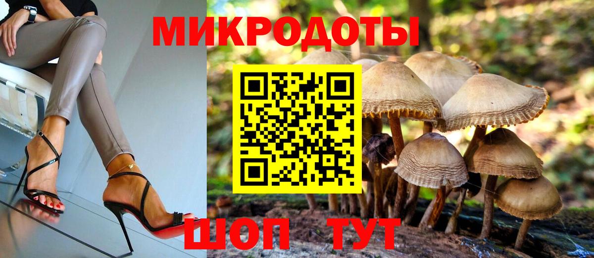 Псилоцибиновые грибы мицелий  Вход с VPN  Галлюциногенные грибы ЛСД  Гурьевск 